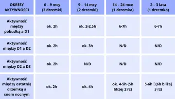Tabela pokazuje, ile śpi noworodek w zależności od wieku i liczby drzemek. Od 6-9 miesięcy do 2-3 lat, czas aktywności między pobudkami i drzemkami jest różny.