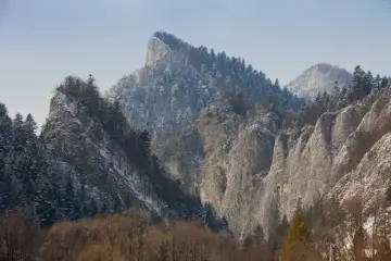 Zimowy krajobraz skalnych szczytów i lasów w Pieninach Słowackich. Śnieg pokrywa drzewa i zbocza gór.