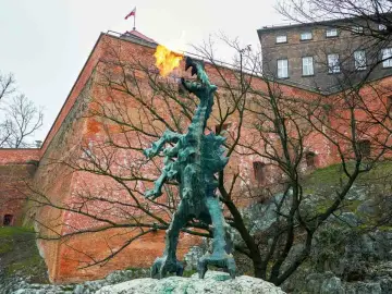Smok Wawelski zieje ogniem przed ceglanym murem Wawelu w Krak.