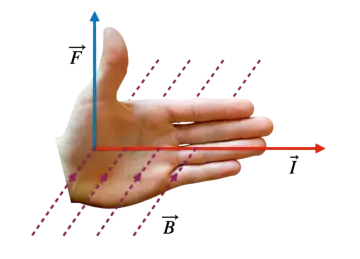 Dłoń ilustruje regułę prawej dłoni: kciuk to siła (F), palce to prąd (I), a pole magnetyczne (B) wchodzi w dłoń, pokazując **indukcję magnetyczną**.