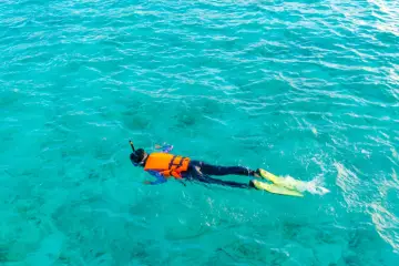 Osoba w pomarańczowej kamizelce i żółtych płetwach pływa na powierzchni turkusowej wody, ciesząc się **snorkelingu**.