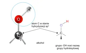 Schemat budowy cząsteczki alkoholu, pokazujący atom węgla w hybrydyzacji sp³ i grupę hydroksylową. Alkohole monohydroksylowe.