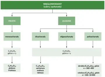 Schemat klasyfikacji węglowodanów: proste (monosacharydy, np. glukoza) i złożone (disacharydy, oligosacharydy, polisacharydy).