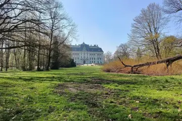 Pałac w Pszczynie i jego park to idealne atrakcje na weekend. Wiosenna zieleń, majestatyczna budowla i powalone drzewo tworzą malowniczy krajobraz.