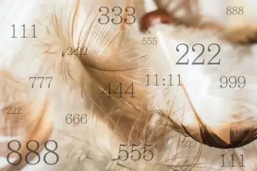 Delikatne pióra otulają anielskie liczby: 111, 222, 333, 444, 555, 666, 777, 888, 999, 11:11 i 2:22.