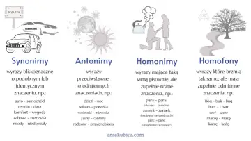Synonimy to wyrazy bliskoznaczne, np. auto-samochód. Obrazek wyjaśnia też antonimy, homonimy i homofony.