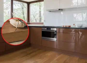 Rękawica z pędzelkiem naprawia rysy na drewnianym blacie. Dowiedz się, jak zamaskować rysy na meblach lakierowanych.