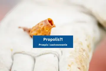 Fragment propolisu na białej rękawicy pszczelarskiej. Dowiedz się, jak zrobić nalewkę z propolisu i jakie ma zastosowanie.