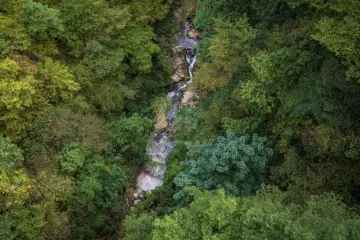 Un ruscello serpeggia tra la lussureggiante vegetazione della valle dell'Orfento, con alberi fitti e rocce bagnate.