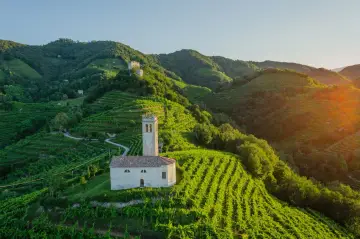 Un borgo con una chiesetta e campanile tra colline vitate, un esempio di cosa vedere nei dintorni di Treviso per un paesaggio incantevole.