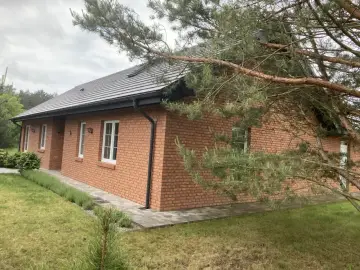 Elewacja z dodatkiem cegły, otoczona zielenią i gałęziami sosny.