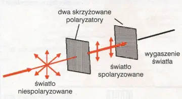 Ilustracja pokazuje, co to jest polaryzacja światła: niespolaryzowane światło przechodzi przez pierwszy polaryzator, staje się spolaryzowane, a następnie jest wygaszane przez drugi, skrzyżowany polaryzator.
