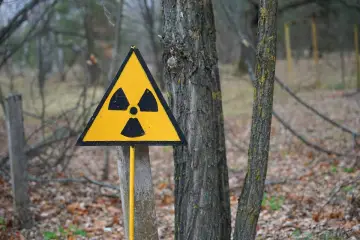 Żółty trójkąt z czarnym symbolem promieniowania. Czy uran jest radioaktywny? Znak ostrzega przed niebezpieczeństwem w lesie.