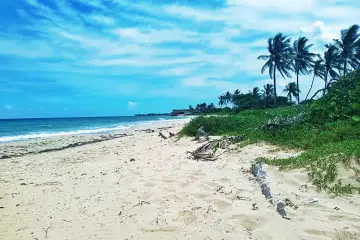 Piękne plaże Kuby z palmami kołyszącymi się na wietrze i turkusowym morzem.