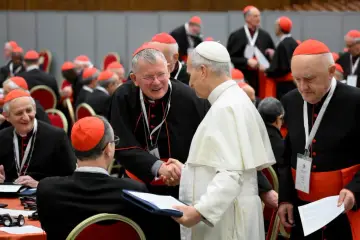 Papież Franciszek podczas konsystorza ściska dłoń kardynałowi. W tle inni kardynałowie w czerwonych biretach.
