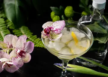 Koktajl Pisco Sour z pianką, ozdobiony kwiatem storczyka i skórką cytryny.