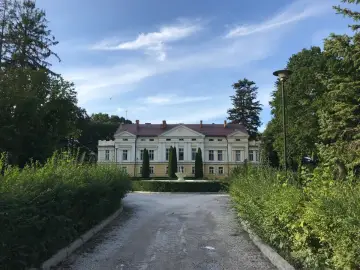 Pałac w Sasinie otoczony zielenią, z podjazdem i fontanną przed fasadą.