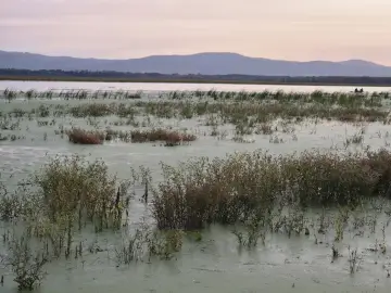 Wielkie jezioro z roślinnością wodną i dwoma osobami w łodzi na horyzoncie.
