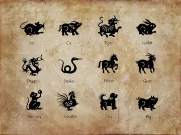 Chińskie znaki zodiaku: Szczur, Wół, Tygrys, Królik, Smok, Wąż, Koń, Koza, Małpa, Kogut, Pies, Świnia.