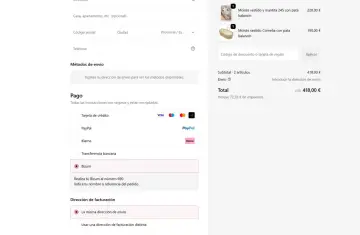 Proceso de pago en una plataforma de pago online. Se muestran opciones como tarjeta de crédito, PayPal, Klarna, transferencia bancaria y Bizum.