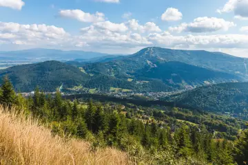 Odkryj Park Krajobrazowy Beskidu Śląskiego: Szlaki, Atrakcje, Porady