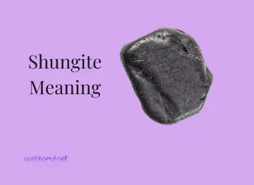 Pietra di shungite nera, nota per le sue proprietà protettive e purificanti.