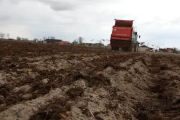 Czerwony traktor z przyczepą rozsypuje obornik na polu.