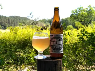 Szklanka i butelka Berliner Weisse na tle natury. Ten styl piwa, w przeciwieństwie do lambika, charakteryzuje się wyraźną kwasowością.