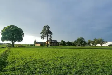 Zielona łąka, dom i drzewa. Zastanawiasz się, ile kosztuje przekształcenie działki rolnej na budowlaną 10 arów?