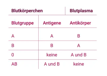 Tabelle zeigt Blutgruppen, Antigene und Antikörper im Blut. Blut ist lebenswichtig.
