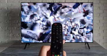 Pilot do telewizora w ręce, ekran pokazuje stado ptaków. Dowiedz się, jak ustawić telewizję naziemną bez dekodera.