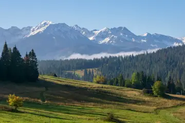 Malowniczy wjazd na Gubałówkę. Zielone wzgórza, las i ośnieżone szczyty Tatr w tle.