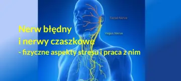 Anatomia nerwu błędnego i nerwów czaszkowych, z naciskiem na fizyczne aspekty stresu i pracę z nim.