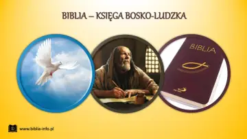 Gołąb symbolizuje Ducha Świętego, który natchnął piszących. Obraz przedstawia starca piszącego Biblię, księgę bosko-ludzką.