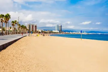 Słoneczna plaża w Barcelonie, palmy, deptak i błękitne morze. W oddali widać panoramę miasta.