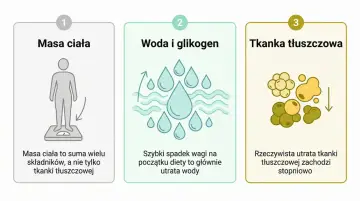 Grafika pokazuje, że początkowy spadek wagi to głównie woda, a rzeczywista utrata tkanki tłuszczowej, czyli to, ile można schudnąć w miesiąc, zachodzi stopniowo.