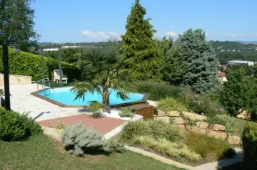 Piscine aux formes douces sur un terrain en pente, entourée de végétation luxuriante et d'une terrasse en bois.