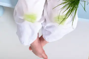 Plamy z trawy? Oto jak je usunąć! 8+ metod na każdą tkaninę.