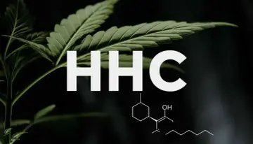 Liść konopi i wzór chemiczny obok napisu HHC. Dowiedz się, hhc co to jest i jakie ma właściwości.