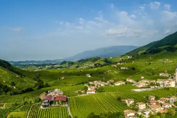 Colline verdi con vigneti a perdita d'occhio, case sparse e montagne sullo sfondo. Un paesaggio incantevole per scoprire Conegliano e dintorni cosa vedere.