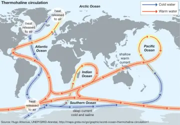 Schemat przedstawia ruch wód oceanu, tworząc globalną krzyżówkę prądów ciepłych i zimnych, wpływających na klimat.