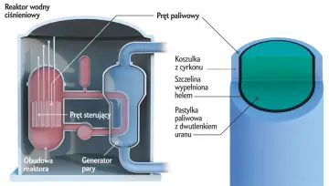 Schemat reaktora wodnego ciśnieniowego. Widoczny pręt paliwowy z pastylkami uranu, otoczony cyrkonową koszulką.