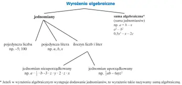 Drzewo klasyfikujące wyrażenia algebraiczne: jednomiany (liczby, litery, iloczyny) i sumy algebraiczne.