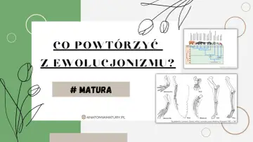 Drzewo filogenetyczne niedźwiedzi i schemat kończyn zwierząt ilustrują, jak życie potrafi ewoluować.