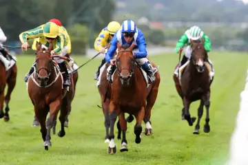 Des jockeys colorés en pleine course, un moment intense de la filière turf.