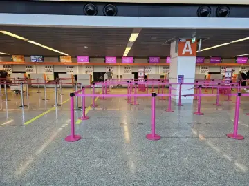 Puste stanowiska odprawy na lotnisku, z różowymi barierkami i żółtymi liniami na podłodze.