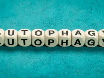 Białe kostki z literami układają napis "AUTOPHAGY". Zastanawiasz się, autofagia co jeść?