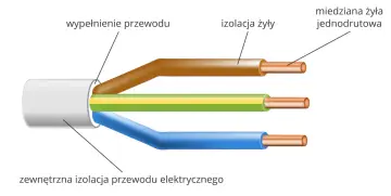 Przekrój kabla elektrycznego: miedziane żyły otoczone izolacją, która nie przewodzi prądu, oraz zewnętrzną osłoną.