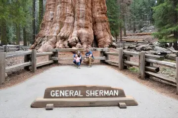 Rodzina pozuje przed General Sherman, największym drzewem na świecie.