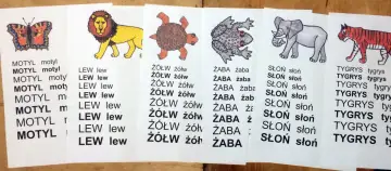 Zwierzęta i wyrazy do głoskowania dla sześciolatka: motyl, lew, żółw, żaba, słoń, tygrys.